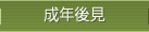 成年後見